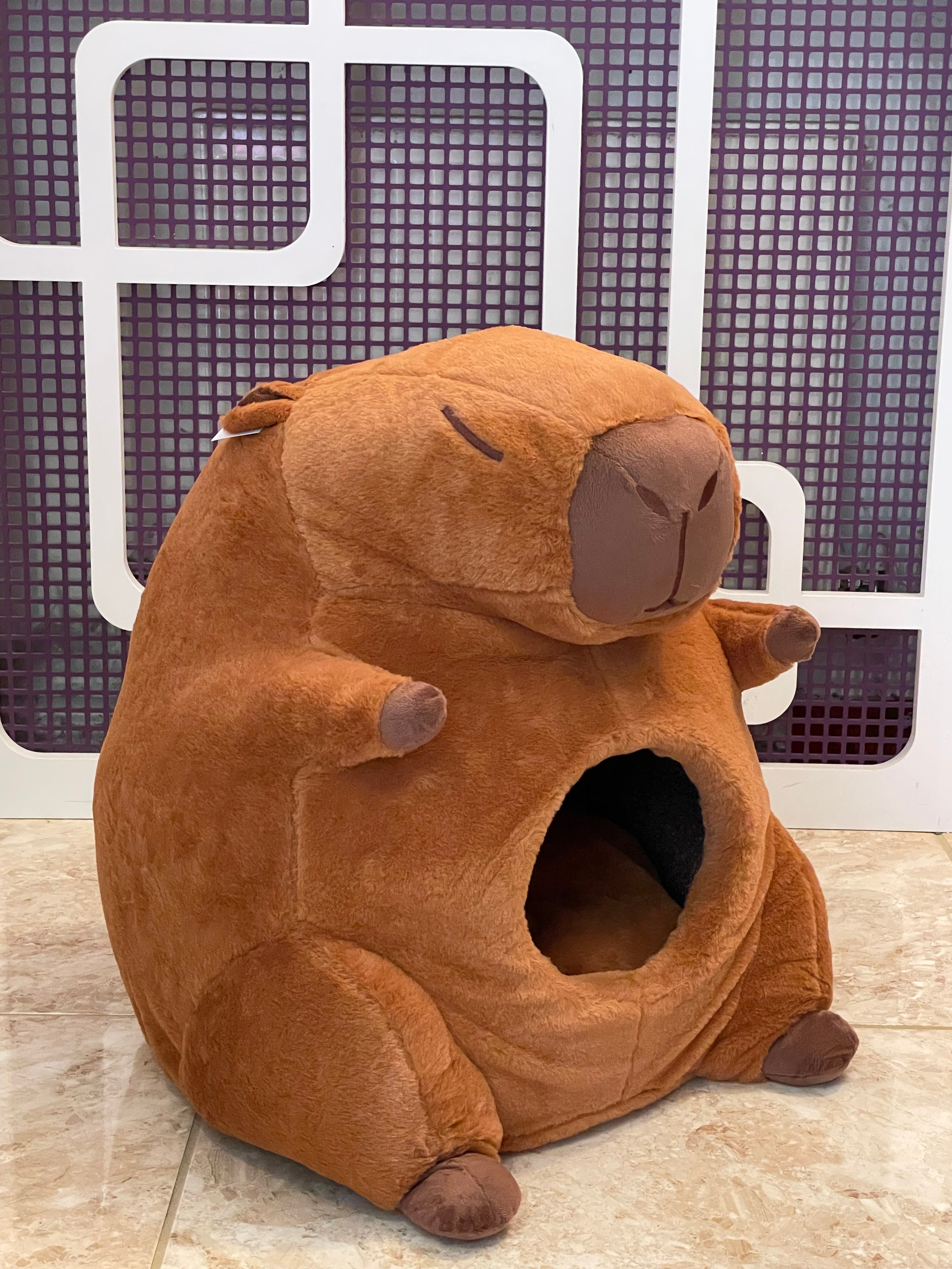 Capybara Cat House
