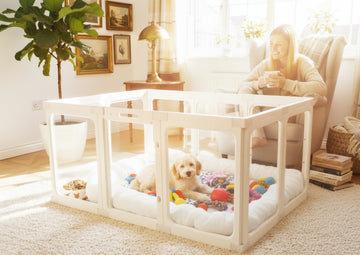 Anxious dog resting calmly inside a clear acrylic playpen with a soft mat — calming gift ideas for nervous dogs