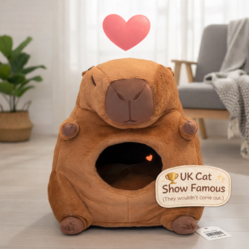 Whiskery Sour best selling pet furniture and accessories including cosy cat house, scratch mat and personalised gifts in a warm home setting