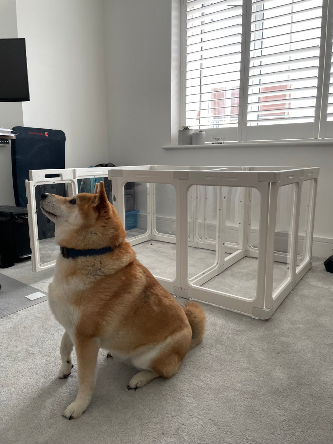 Clear Acrylic Pet Playpens