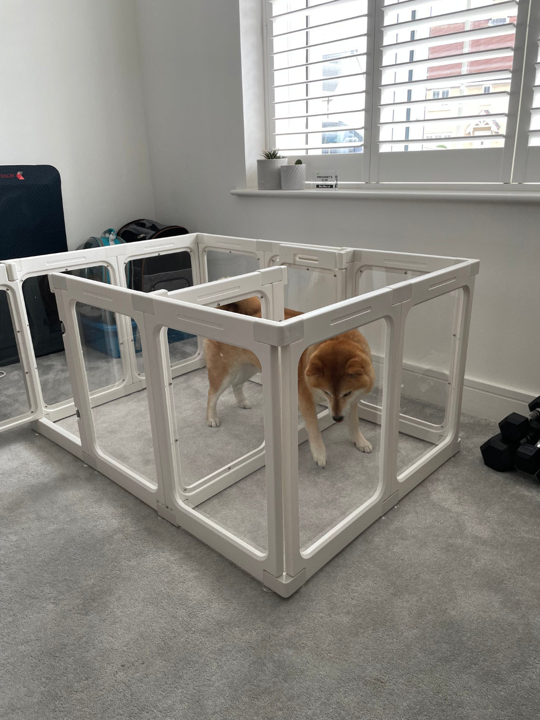 Clear Acrylic Pet Playpens