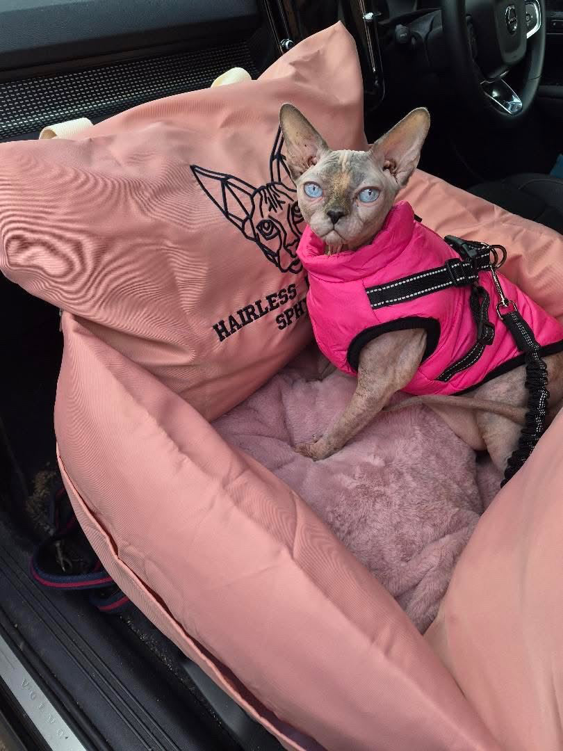 Blush pink personalised pet car seat bed — product photo 6
