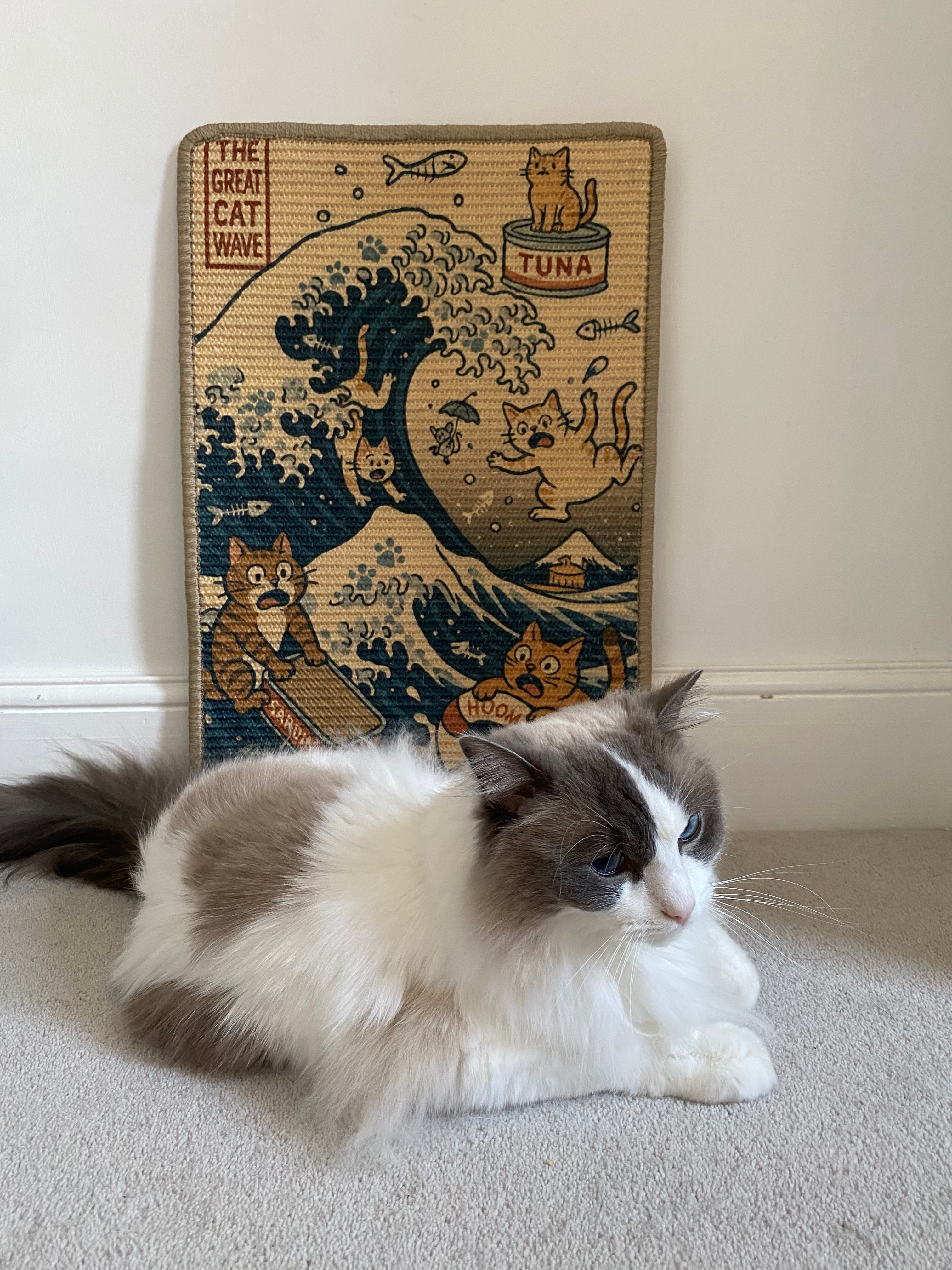 Cat looking at a doormat with The Great Cat Wave sisal scratching mat on a carpeted floor.