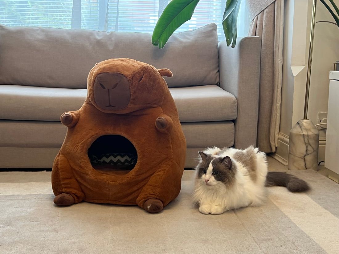 Capybara Cat House