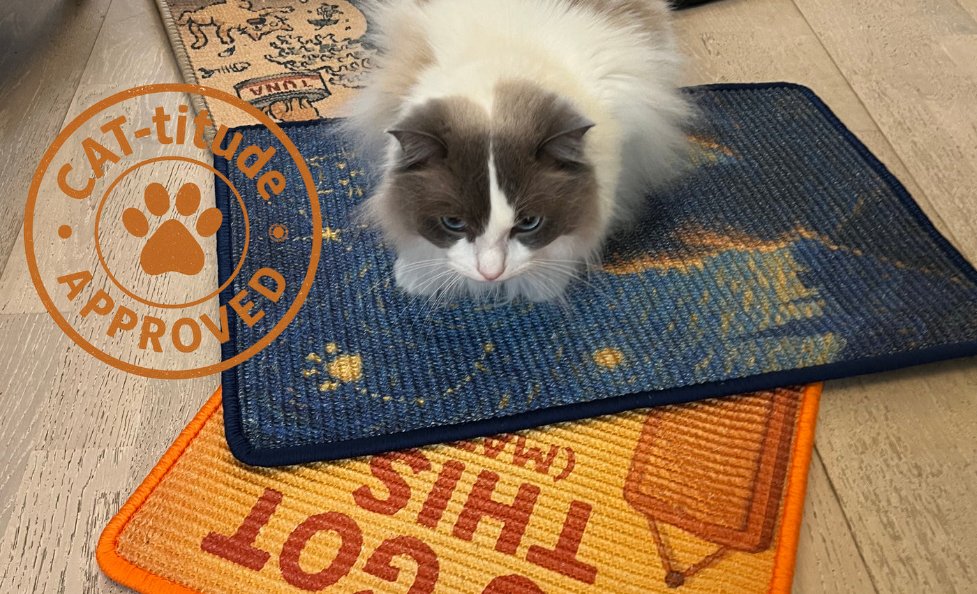 The You Got This mat in a real home, with a cat sitting on it.