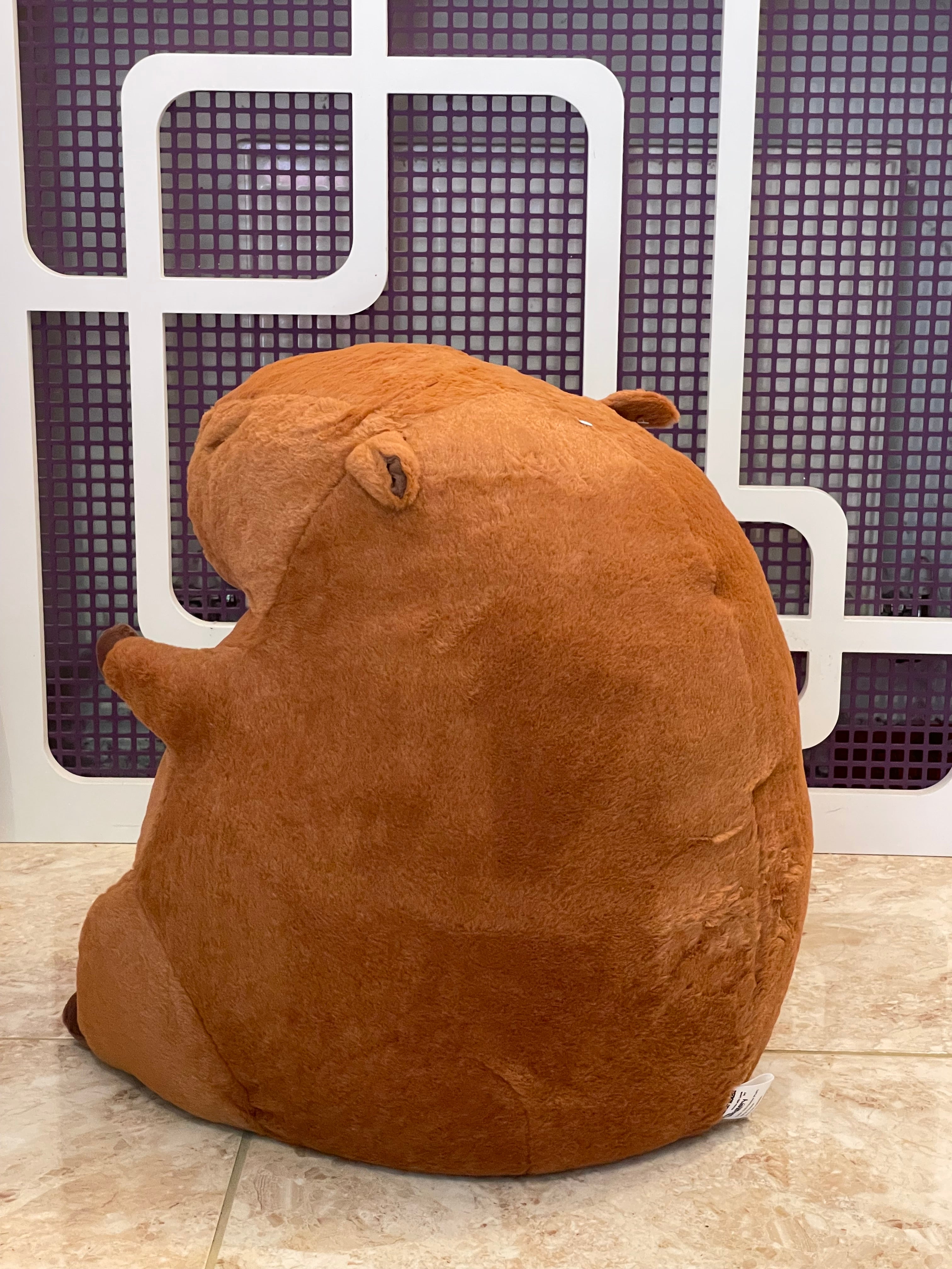Capybara Cat House