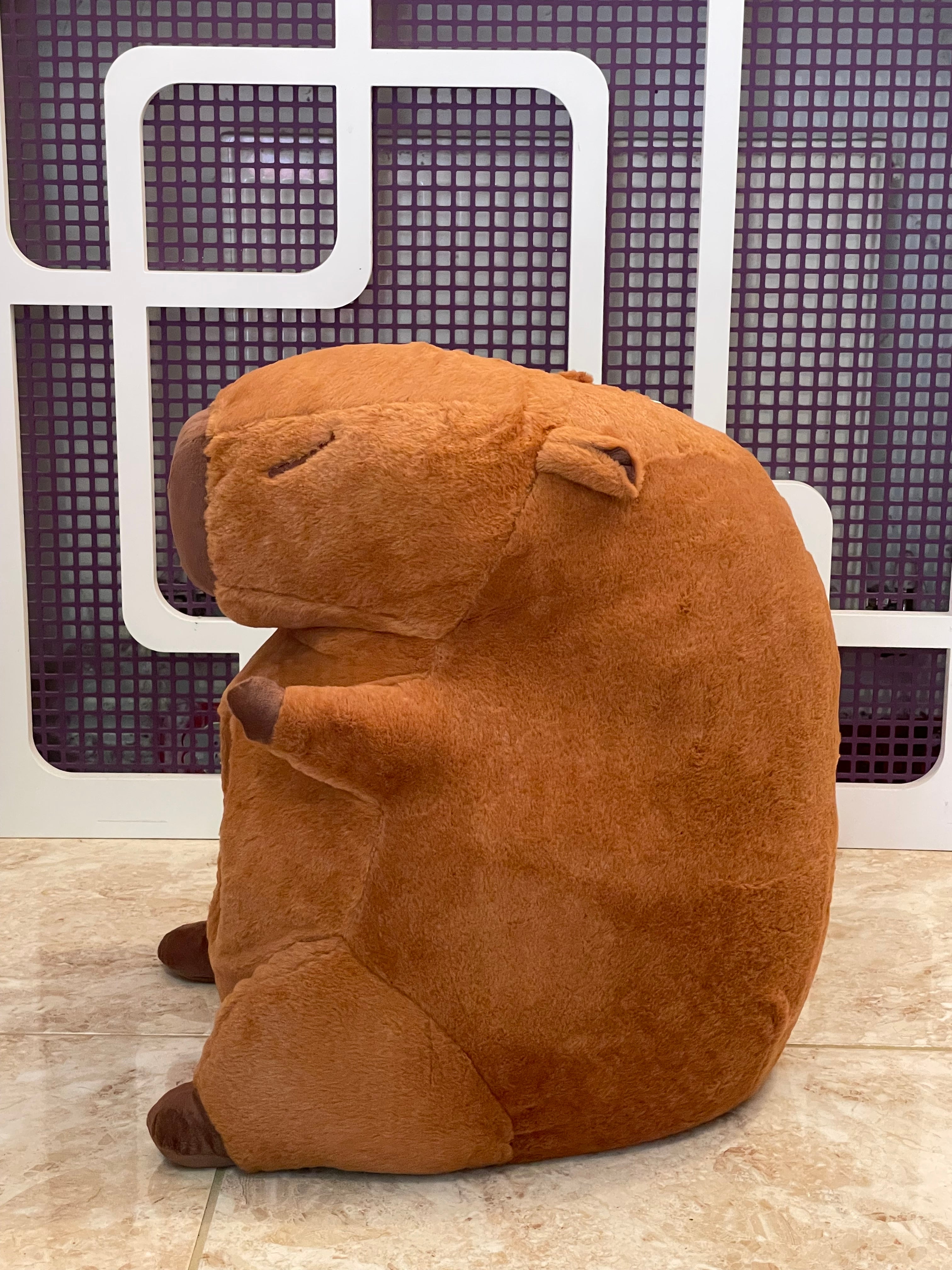 Capybara Cat House