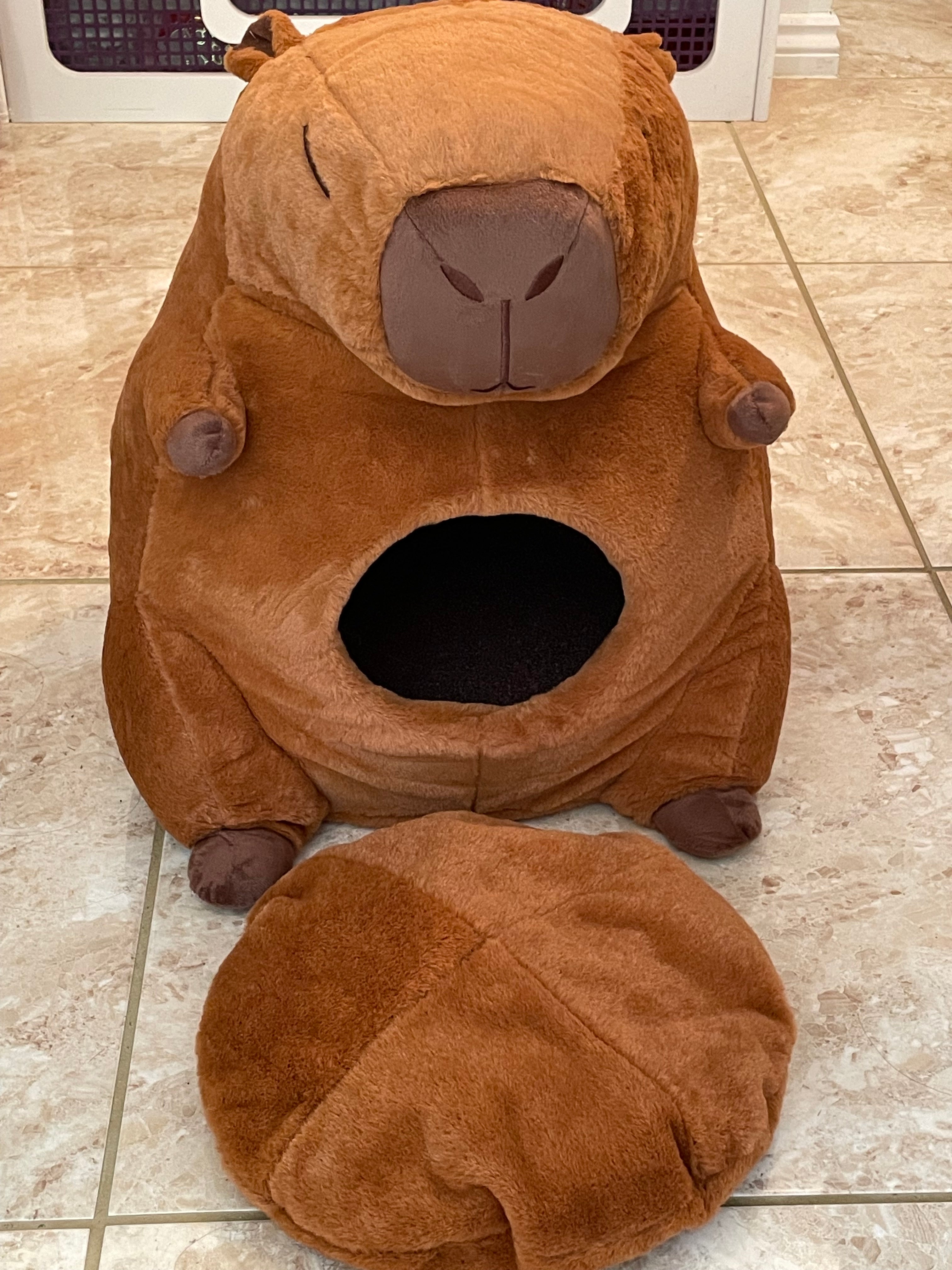 Capybara Cat House