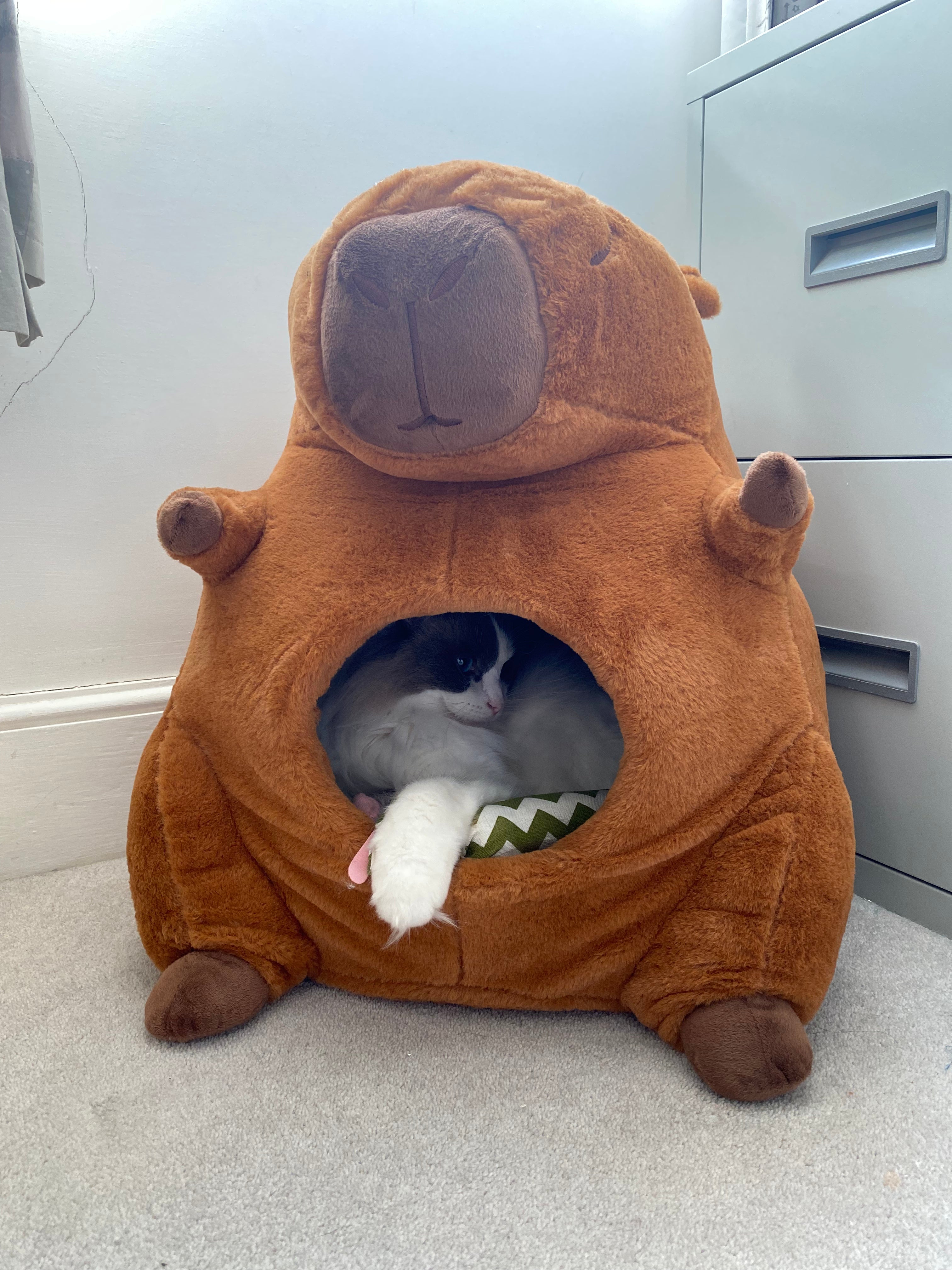 Capybara Cat House