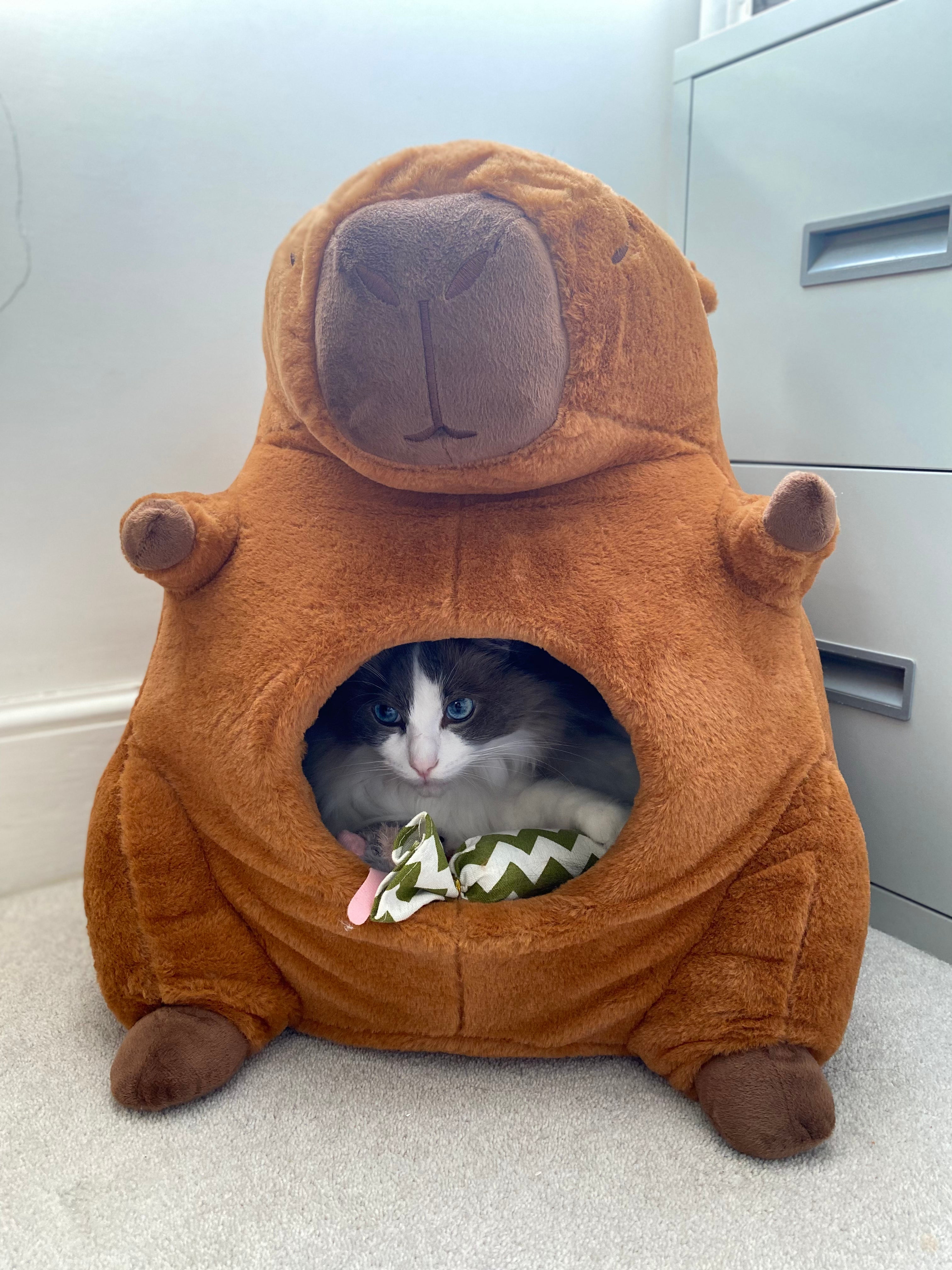 Capybara Cat House