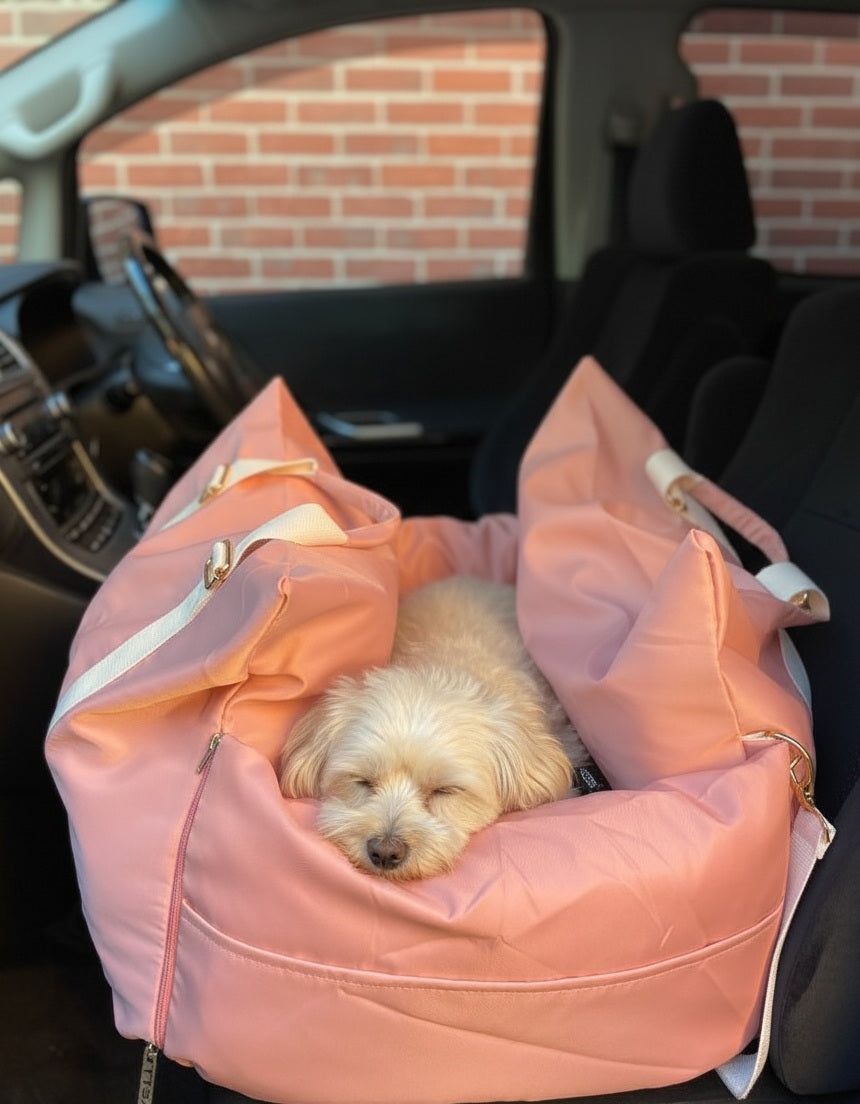 Small puppy sitting in a pink dog car seat carrier for cars, safe pet travel accessory