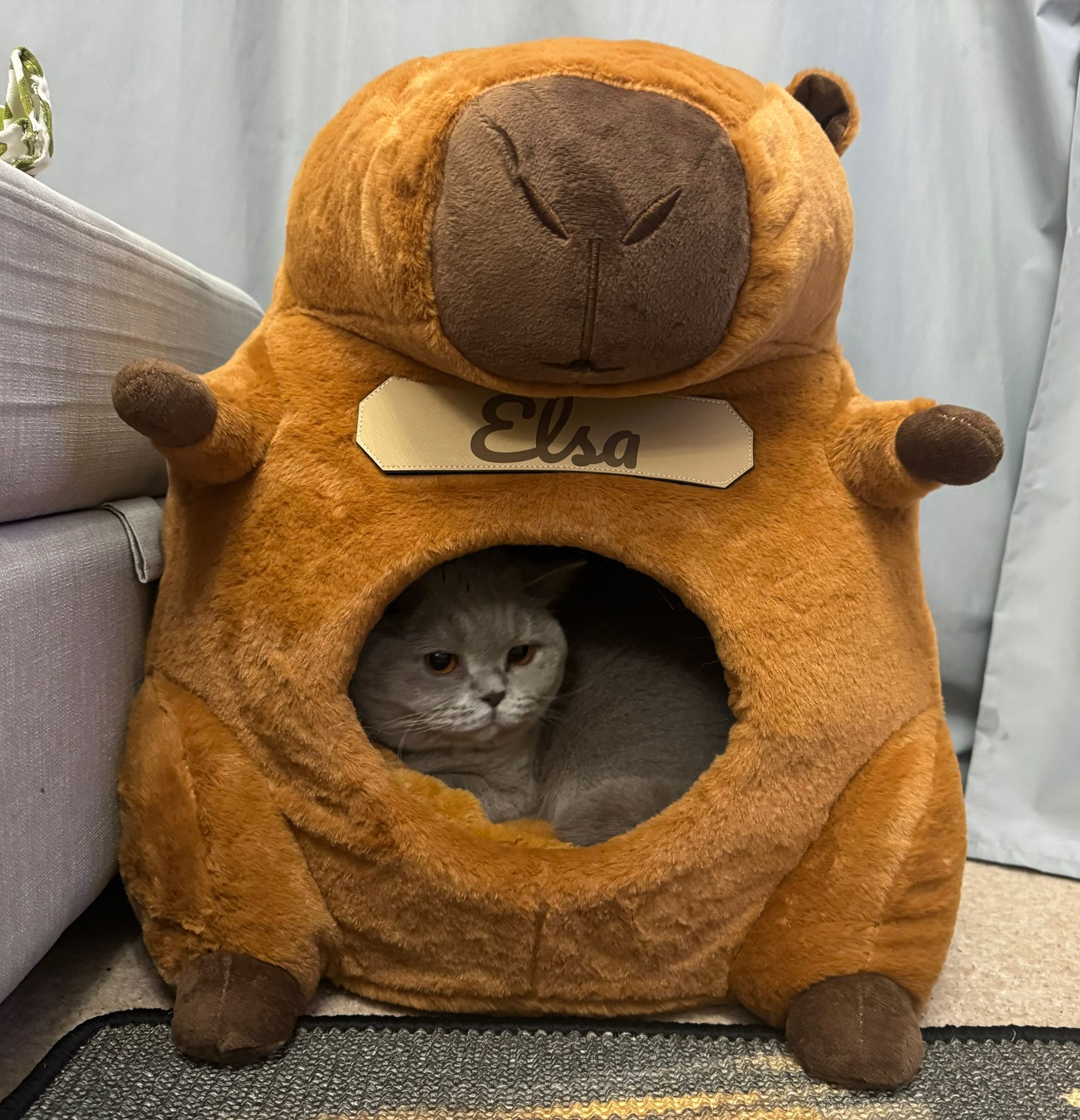 Capybara Cat House - Cosy Enclosed Cat Bed | Fun Animal Shape Cat Cave | Whiskery Sour