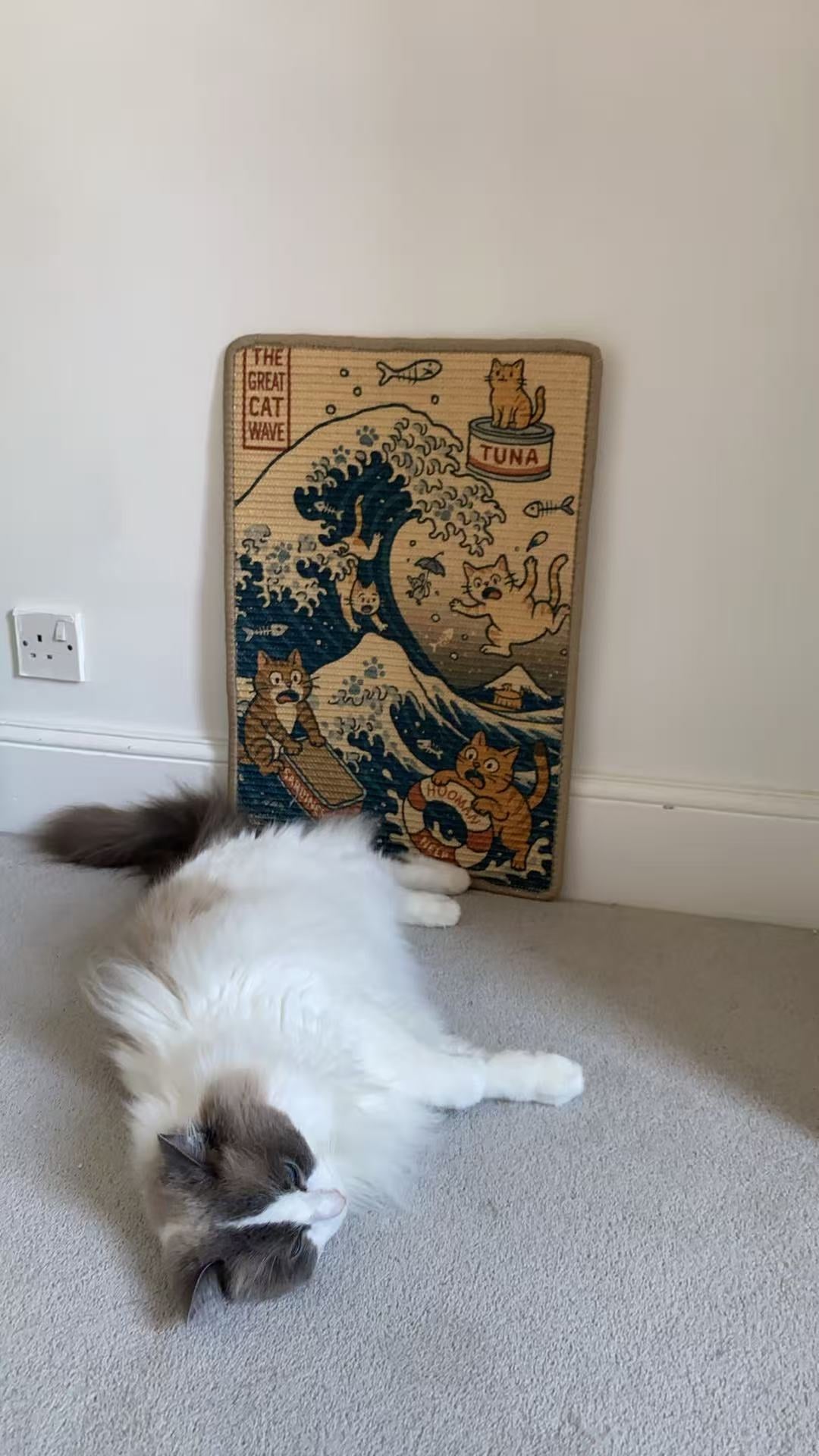 White cat sitting next to The Great Cat Wave sisal scratching mat – 60×40 cm
