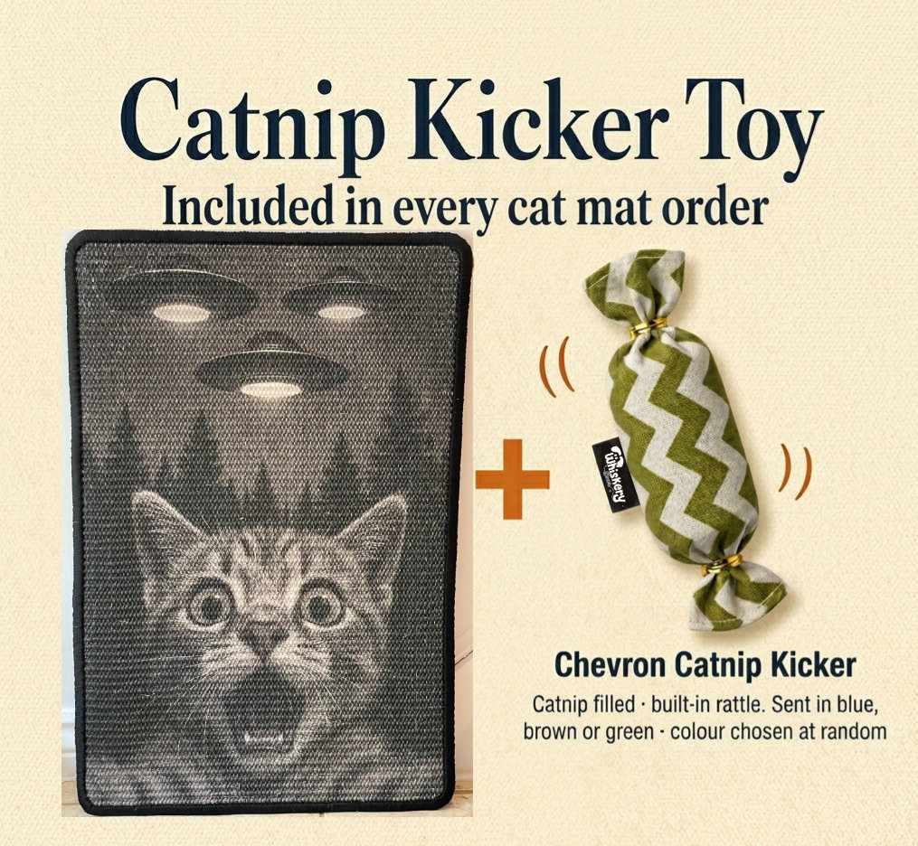 UFO Cat sisal scratching mat – shocked tabby cat and flying saucers, 60×40 cm