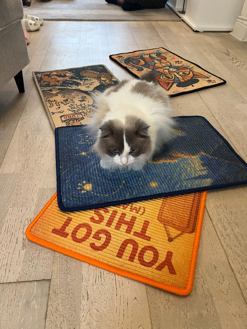 Ragdoll cat sitting on the Starry Cat Night sisal mat in a real home